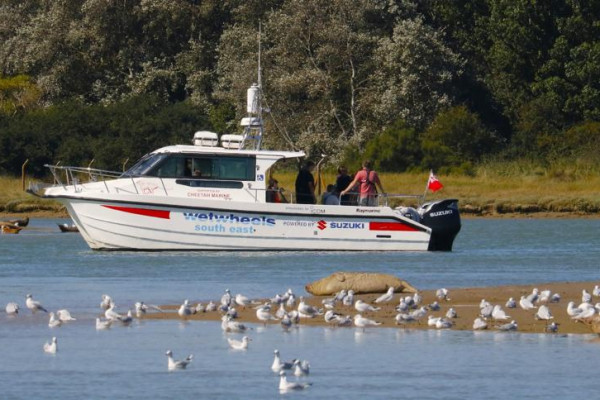 WWSE Seals With Boat